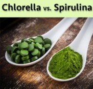 chlorella-vs-spirulina1-232x224